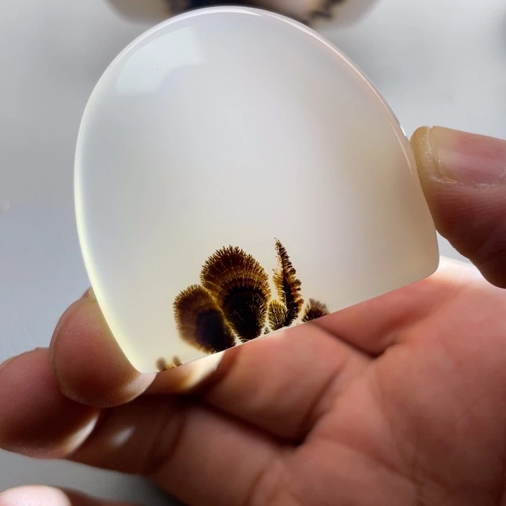 玛瑙/玉髓颈饰未镶嵌X*Y