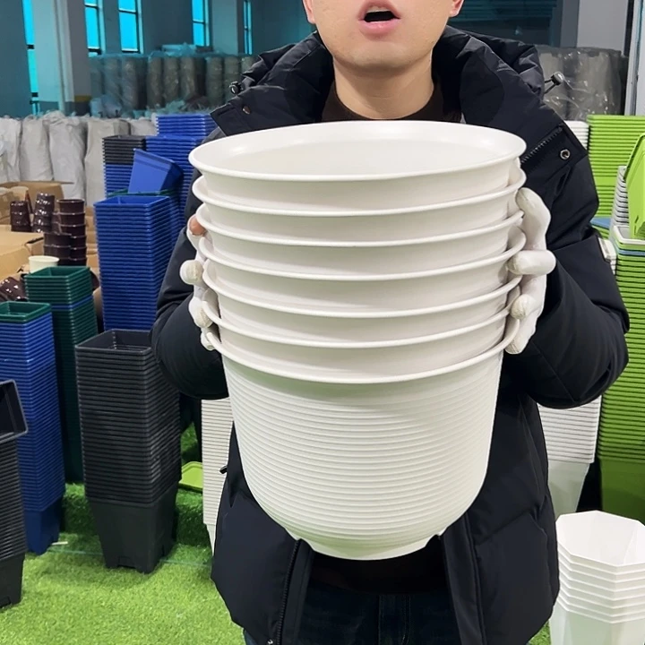 正品矮陶口27高18白色6只无托