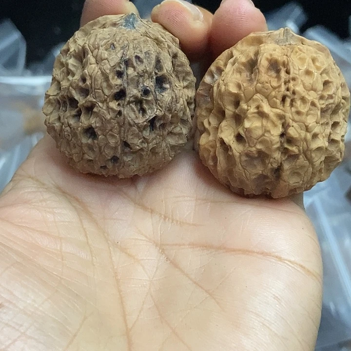 文玩核桃把件云南铁核桃基地78