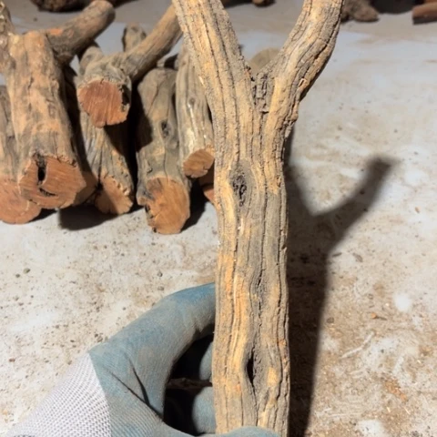 难***涂大果紫檀（缅甸花梨）