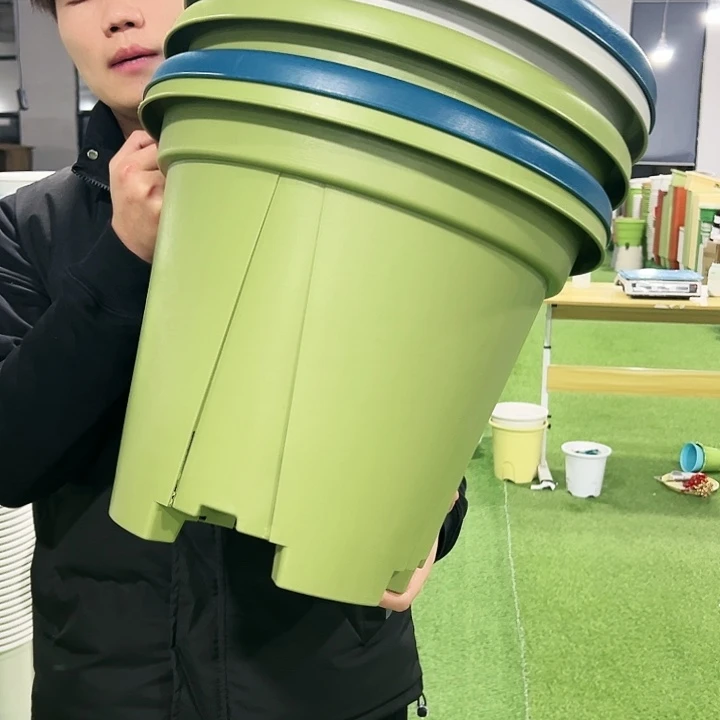 清仓青山口40高34果绿色5只无托