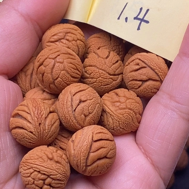 秦岭龙纹桃核17颗