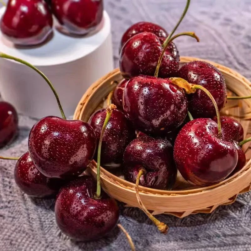 3J智利车厘子桑提娜3JD/250g/份.