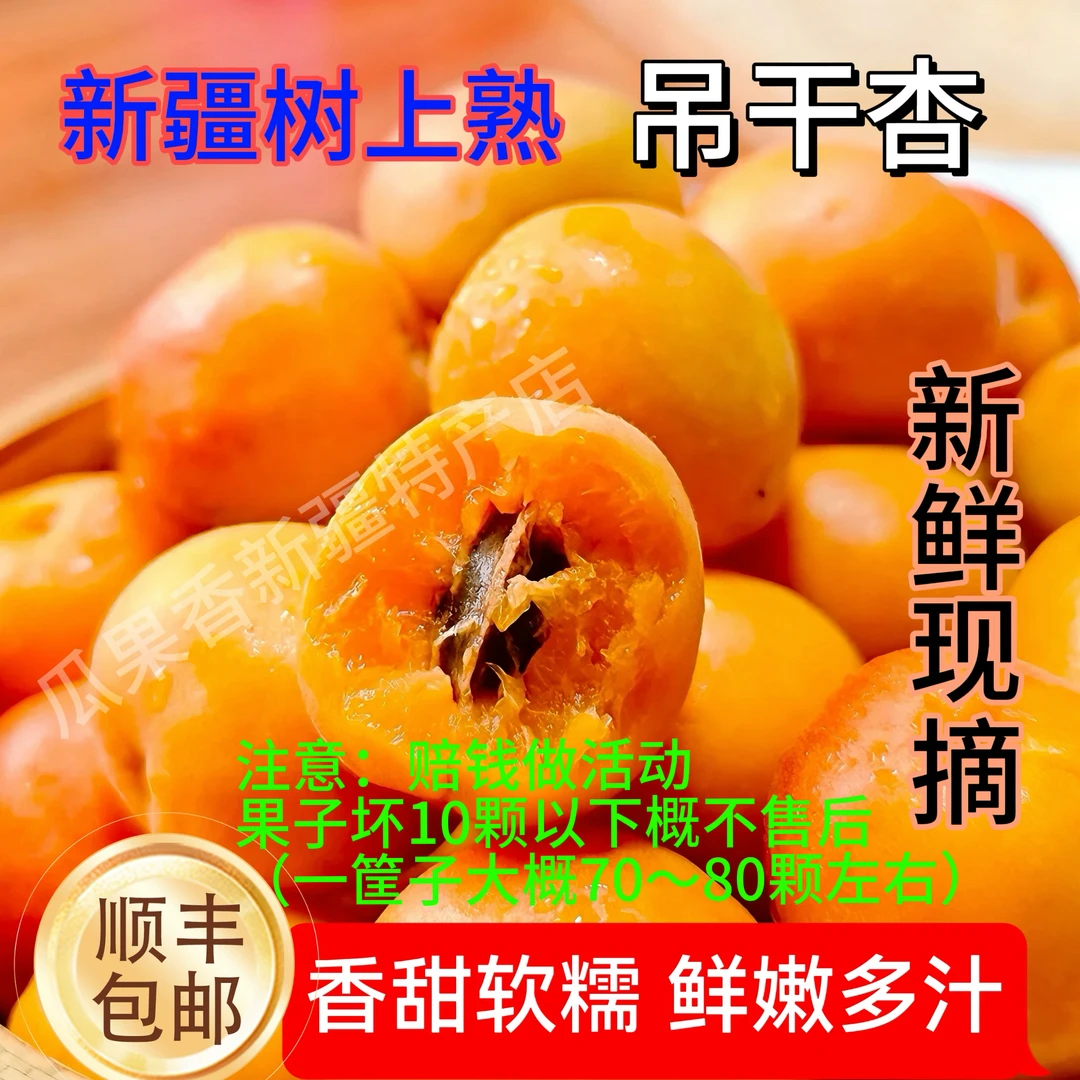 【超高性价比微瑕果】新疆小红杏吊干杏新鲜当季水果酸甜可口清香