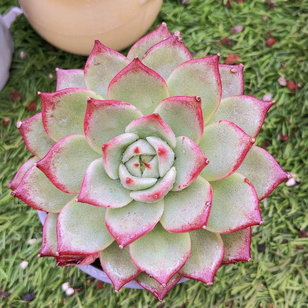 18号8899999999999999999