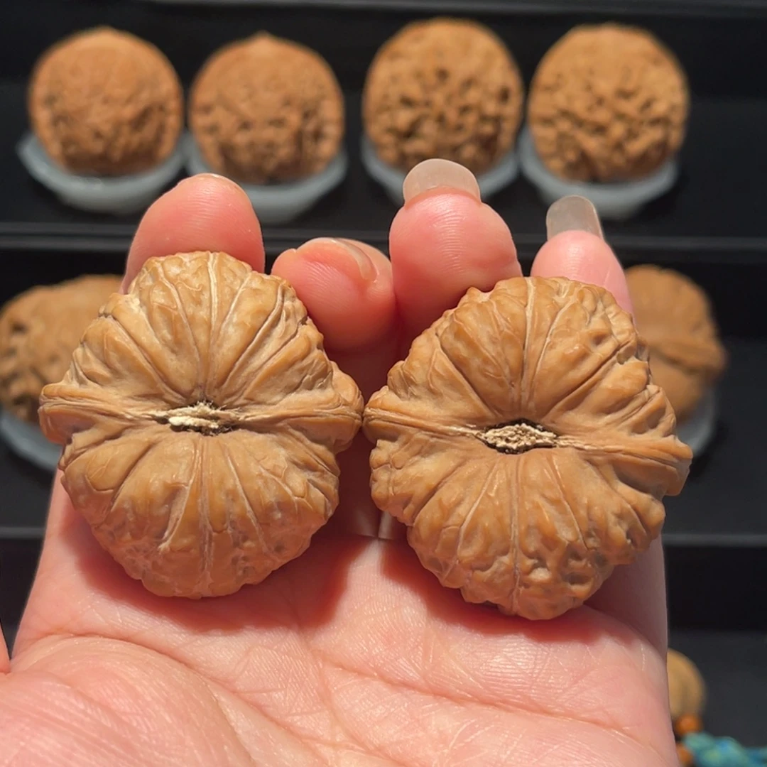 精品，货头，39南瓜敦744