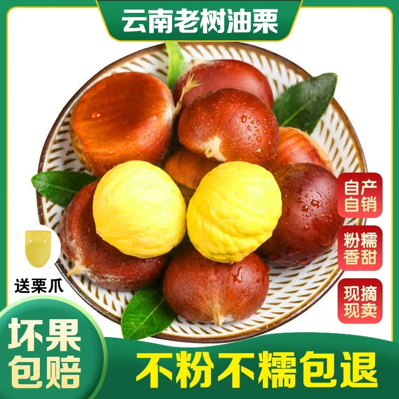 云南新鲜头茬红壳板栗现摘现发好剥皮粉面香甜