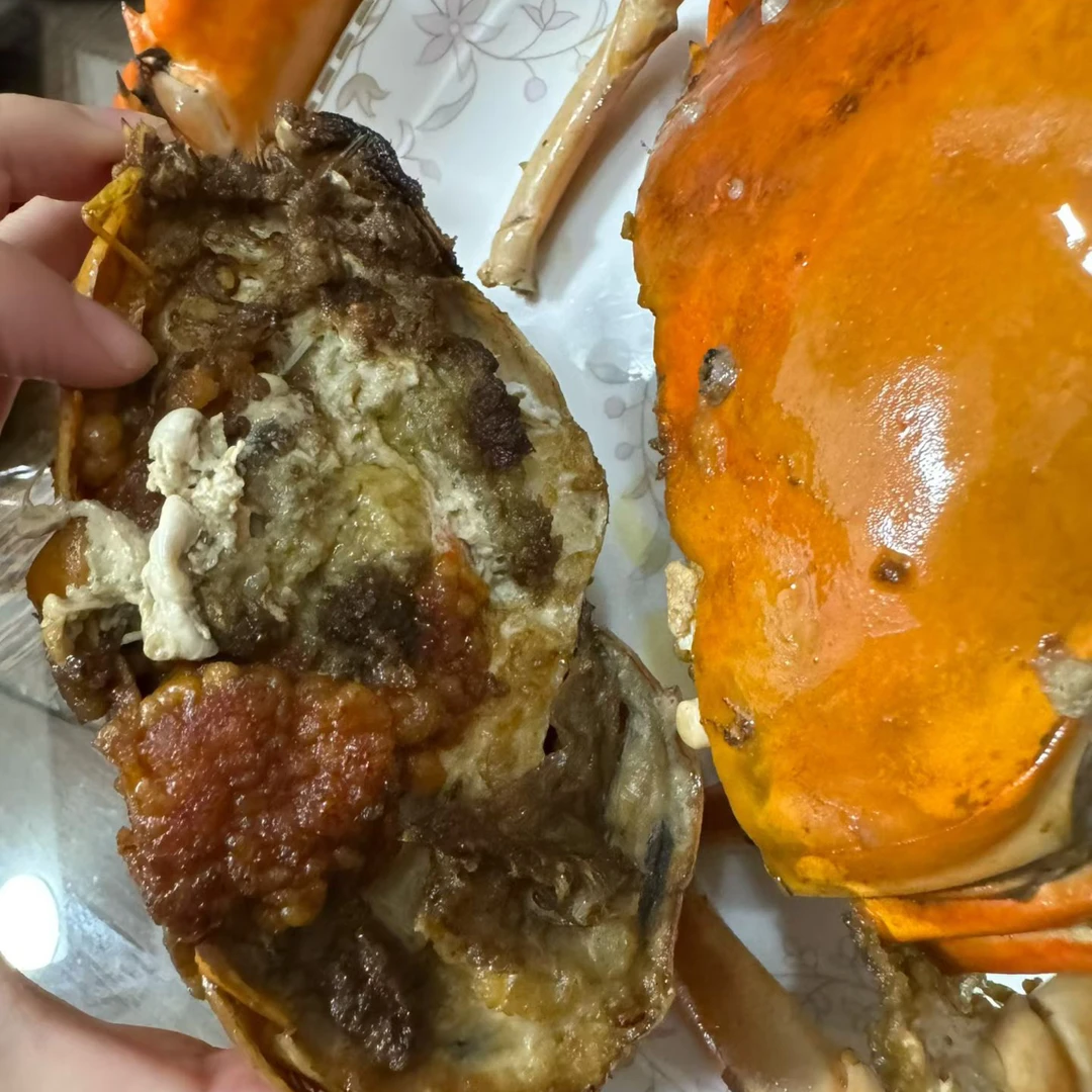 【顺丰空运】闽南红膏鲟 野生正港 满膏满黄 拒接冷冻 年夜饭压轴菜