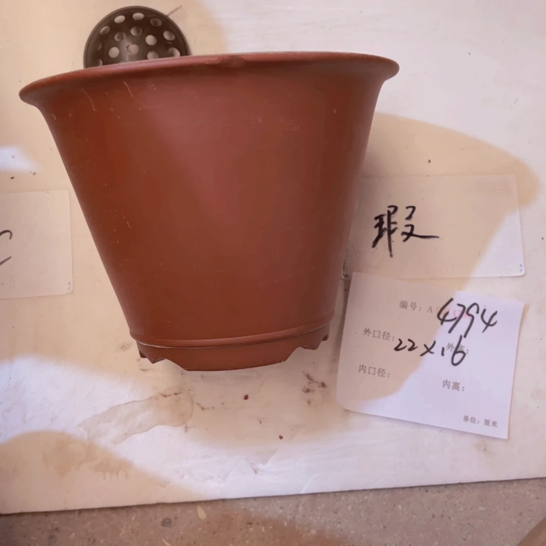 花盆紫砂紫紫砂盆