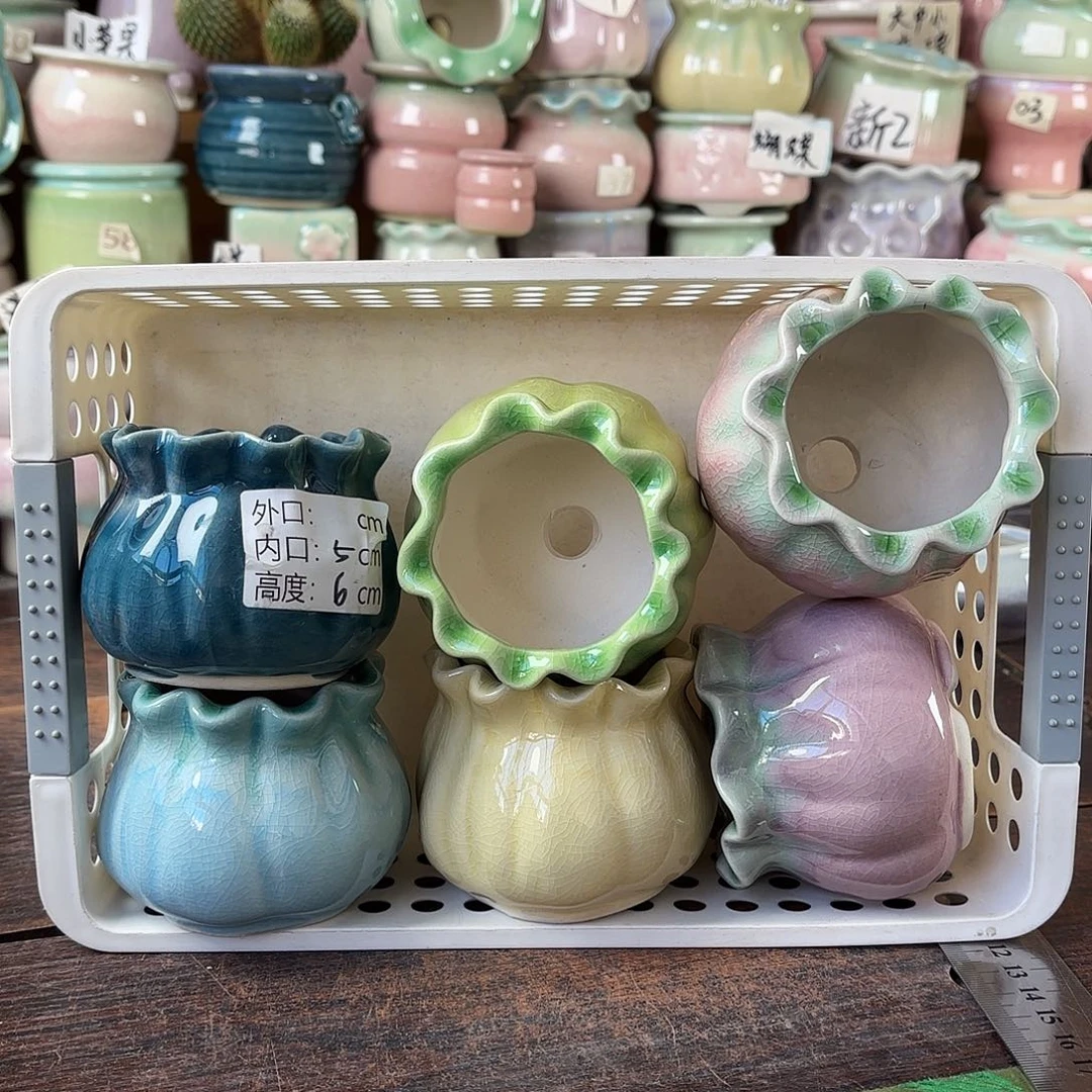 量货/5口高6深浅搭配发6