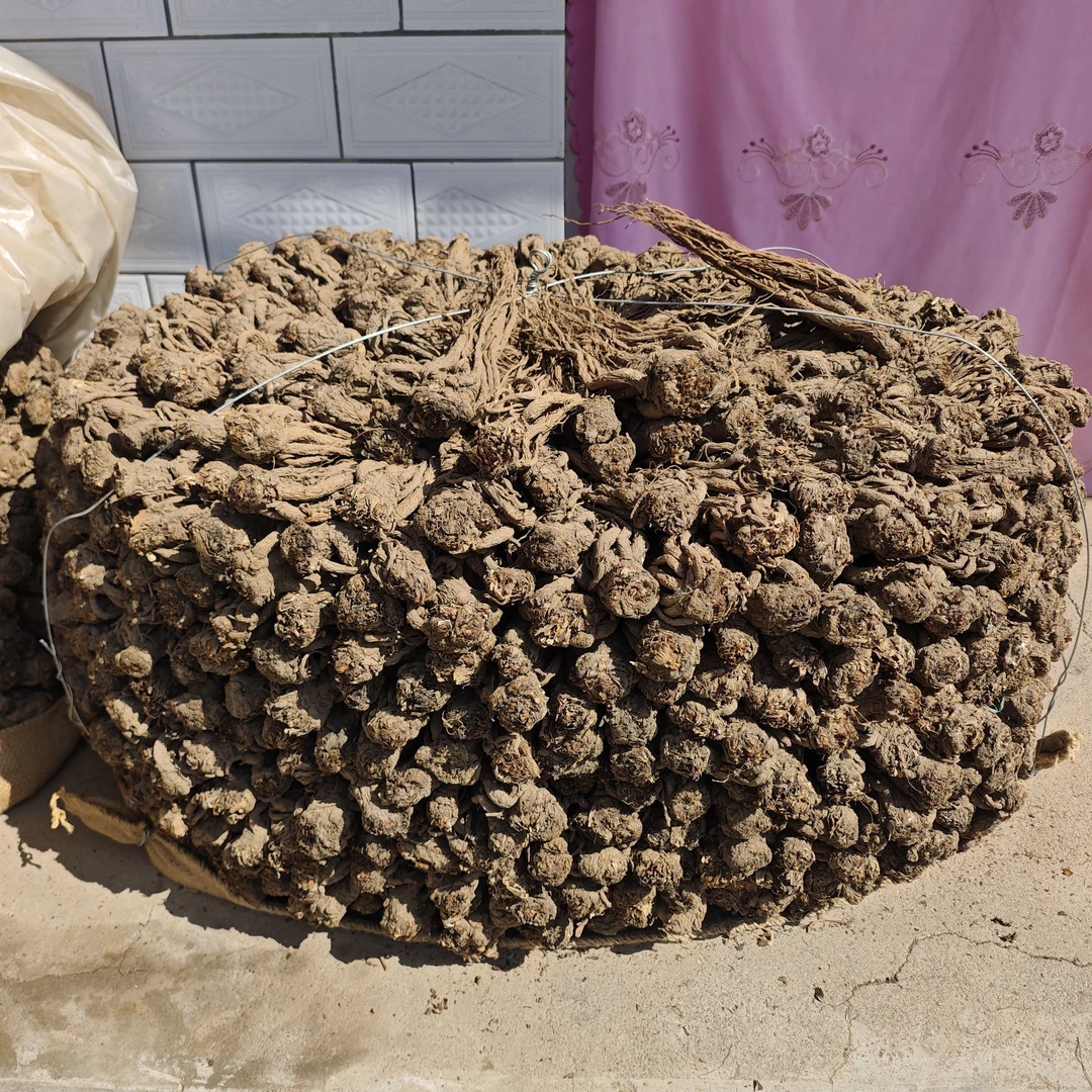 甘肃岷县当归整根原条滋补佳品无硫干货泡水煲汤