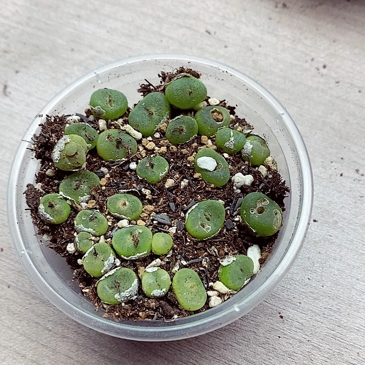 461呃呃呃呃呃呃呃呃呃呃