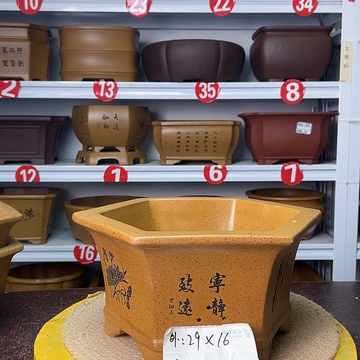 紫砂花盆蛇年大吉