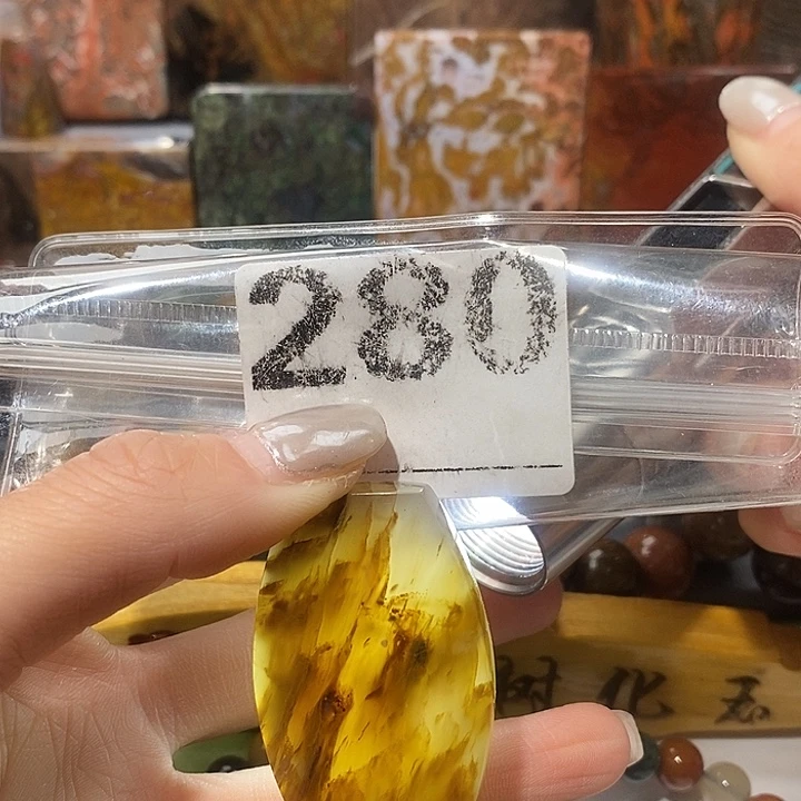 硅化玉未镶嵌天然北票树化玉吊坠