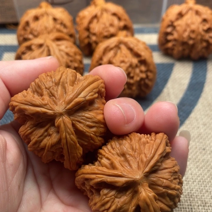 妖***虾核桃41核桃白狮子