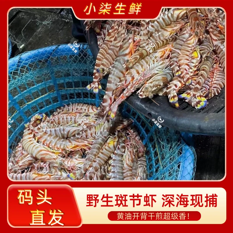 【年底福利】本港码头野生斑节虾 花虾 竹节虾 深海现捕5-7条/盒 YT