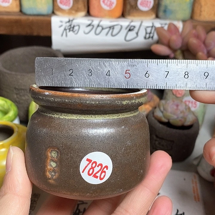 红陶拍5送一个小