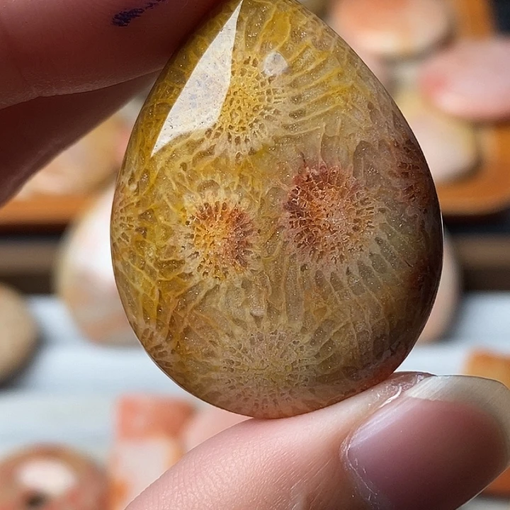 用***5硅化珊瑚未镶嵌颈饰