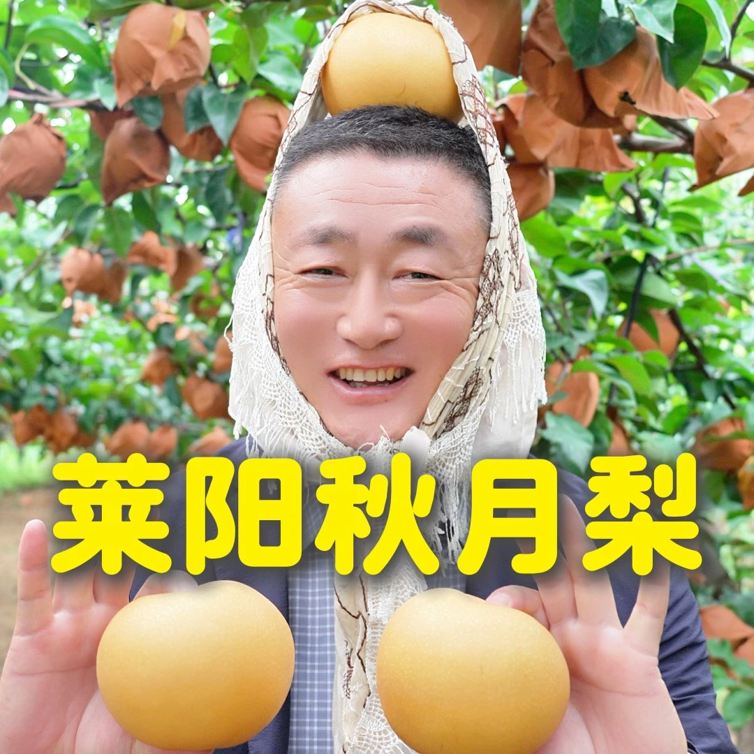 【张书记甄选】【顺丰包邮】正宗莱阳秋月梨当季新鲜水果头茬大果山东