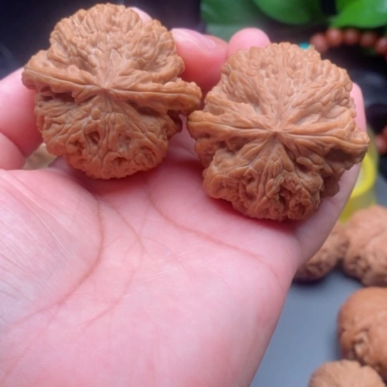 把件文玩核桃大粗筋
