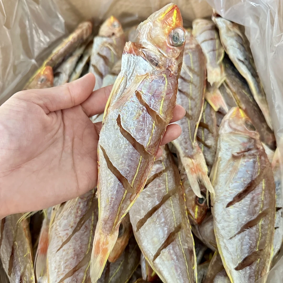 新晒金丝鱼金线鱼干  500g  广东博贺港海鲜干货