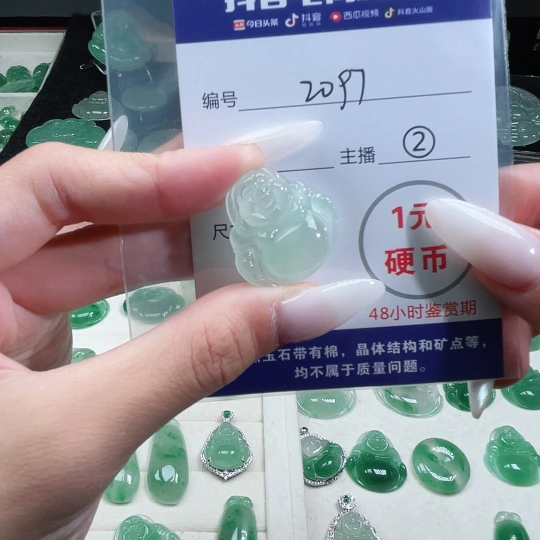 石英质玉未镶嵌颈饰