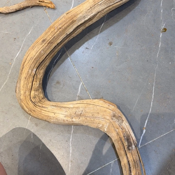 柏木大*兄是爸爸就是今生今世你