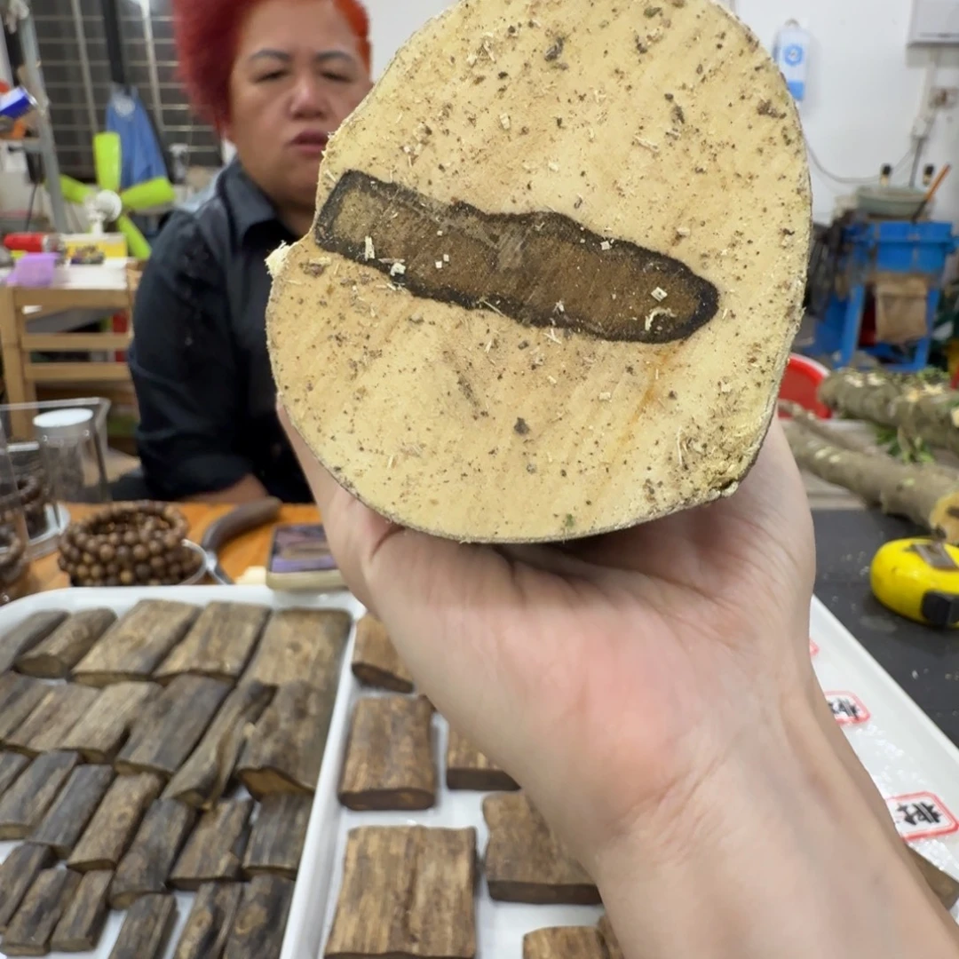 线香奇楠沉香原木树头4孔