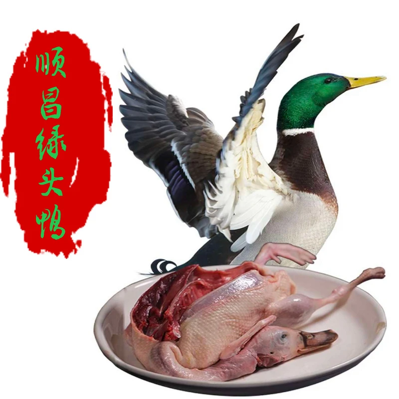 【顺昌绿头鸭】福建南平散养绿头鸭老鸭宰杀产地顺丰包邮