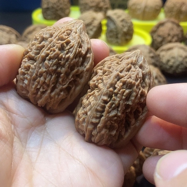 文玩核桃   大蒜头