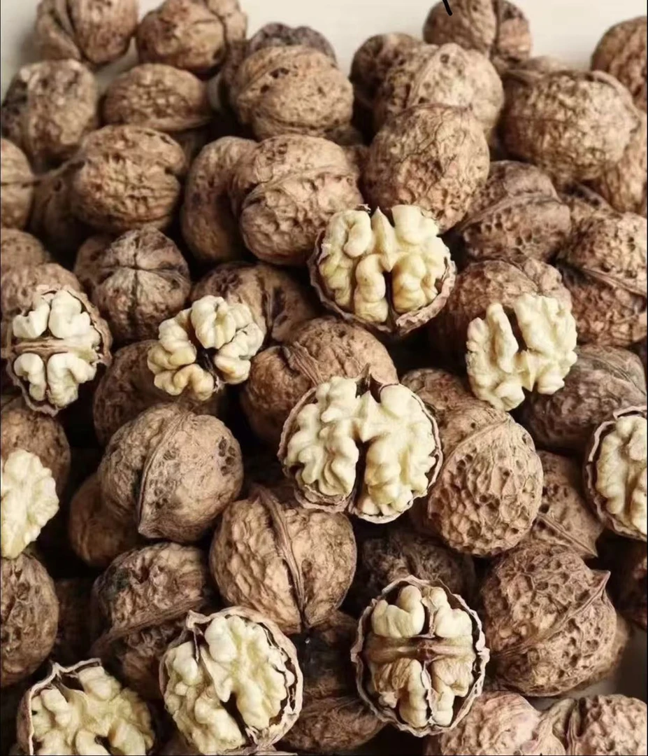 四川老树新鲜核桃 5斤装（送钳子）