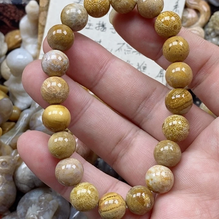 颈饰未镶嵌硅化珊瑚（珊瑚玉）