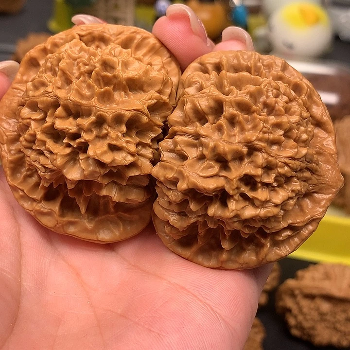 谷**宁50官帽h lo y zu tu