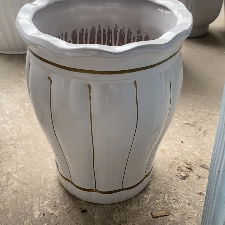 低腰白花口金线南瓜中号口26/33