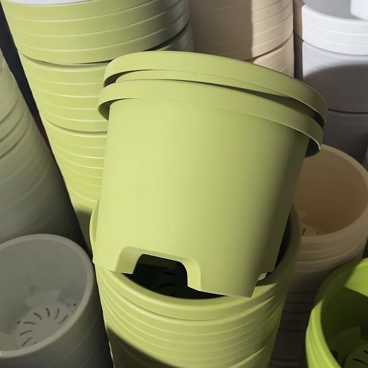 球根32口径果绿5个无托