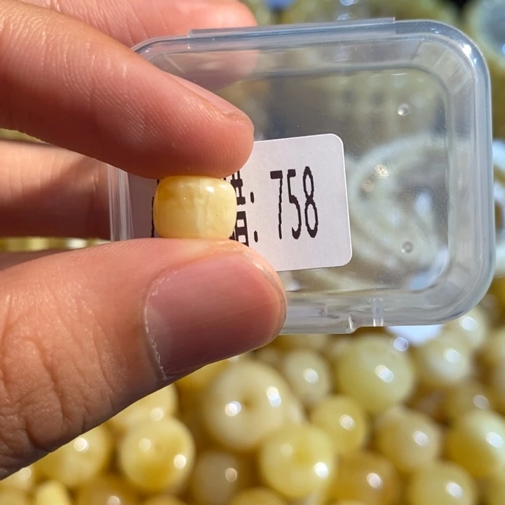 琥珀未镶嵌珠宝奇石758