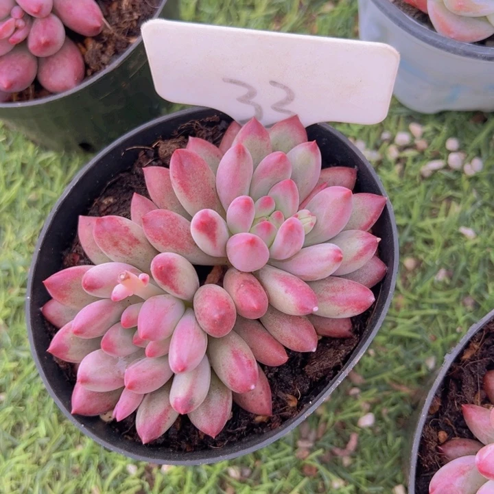 健健康康平平安安