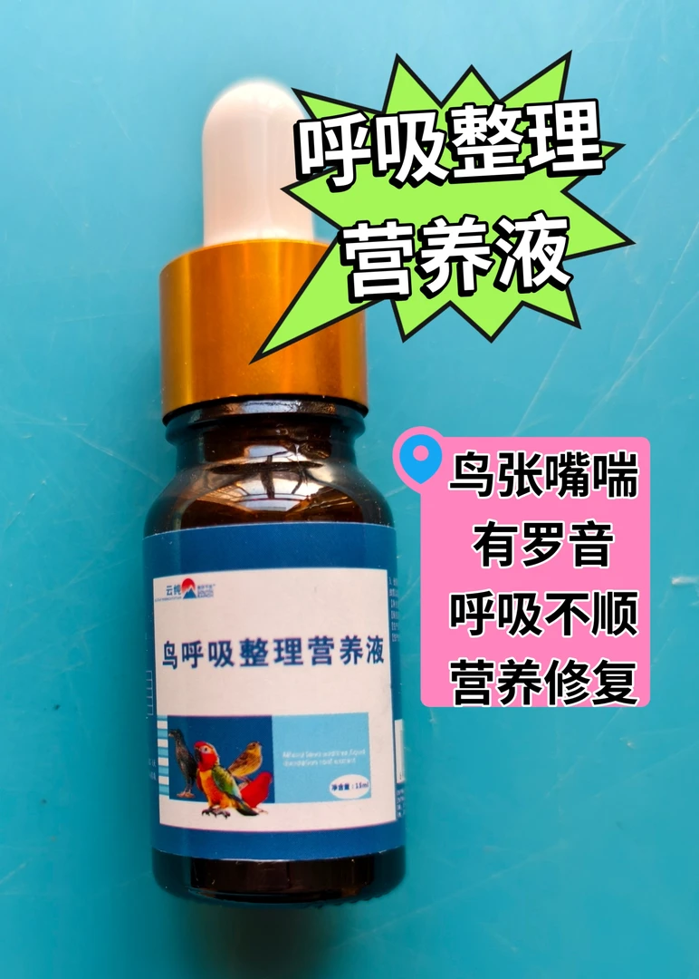 鸟类张嘴喘营养液升级版鸟呼吸不顺张嘴喘有罗音整理