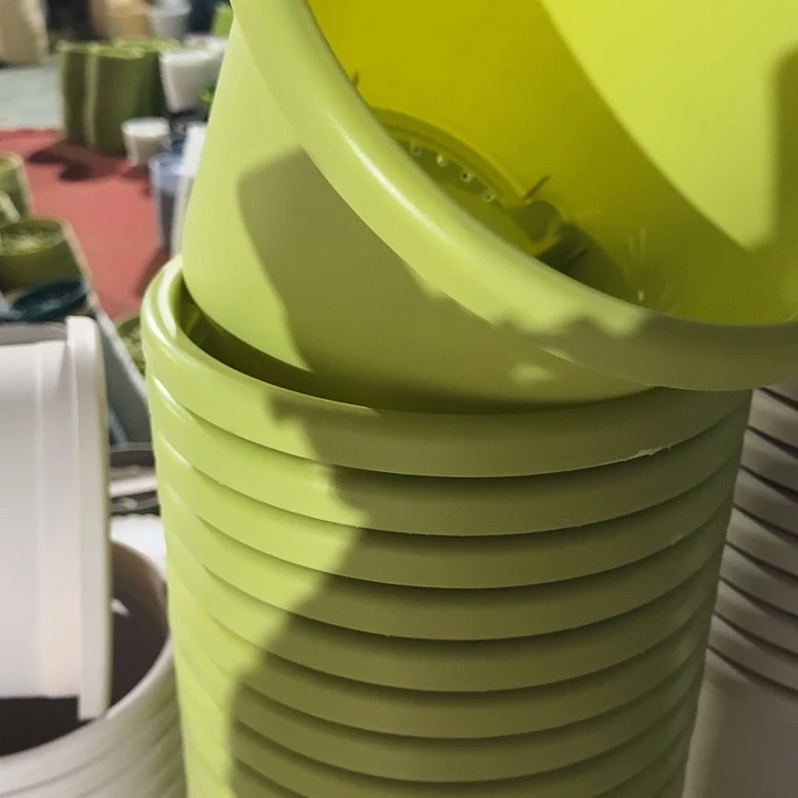 四季5号果绿无托10个