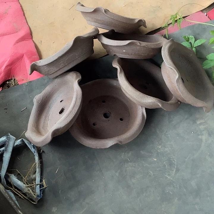 紫砂一组处理七只