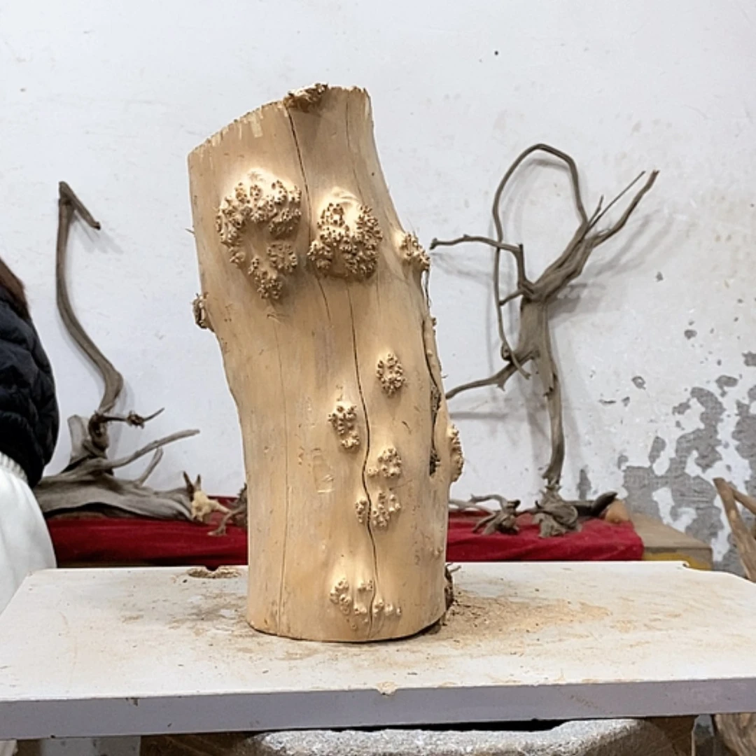 【闪购商品】柏木展****）我们都是好孩子