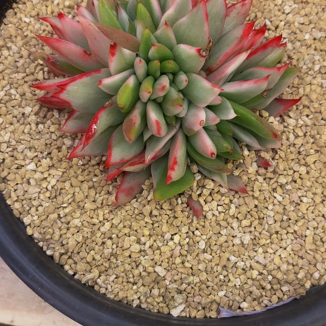 小***…啦啦啦啦啦啦啦啦啦啦