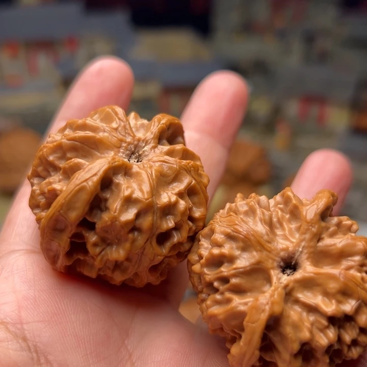 波***毛核桃40苹果园狮子头