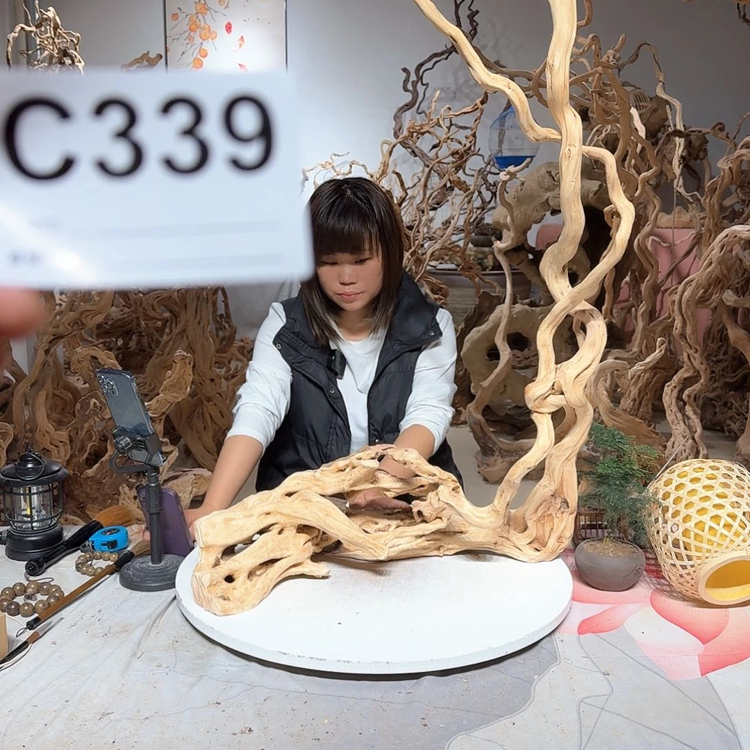 风车木（黑檀木）菲*
