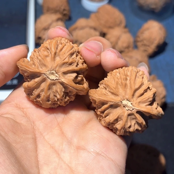 晴***吊坠文玩核桃41全品宫灯