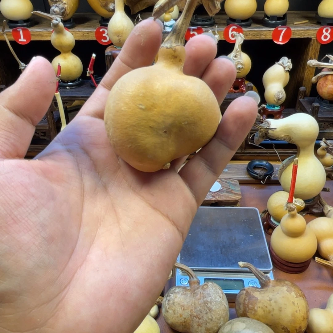 书***咎葫芦葫芦葫芦葫芦