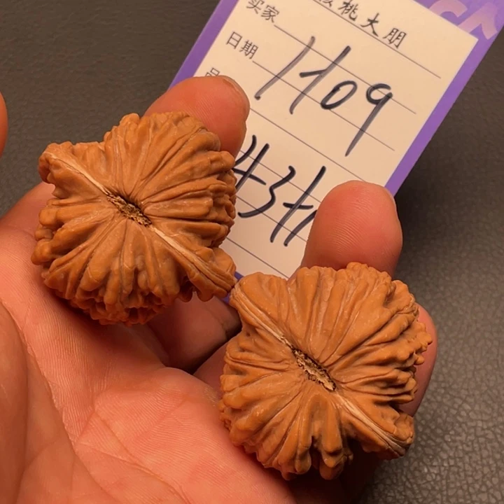 核桃四座楼43➕尺寸