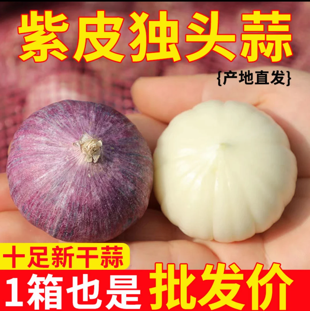 【新干蒜】紫皮独头蒜新晒干蒜农家红皮独蒜新大蒜应季蔬菜包邮