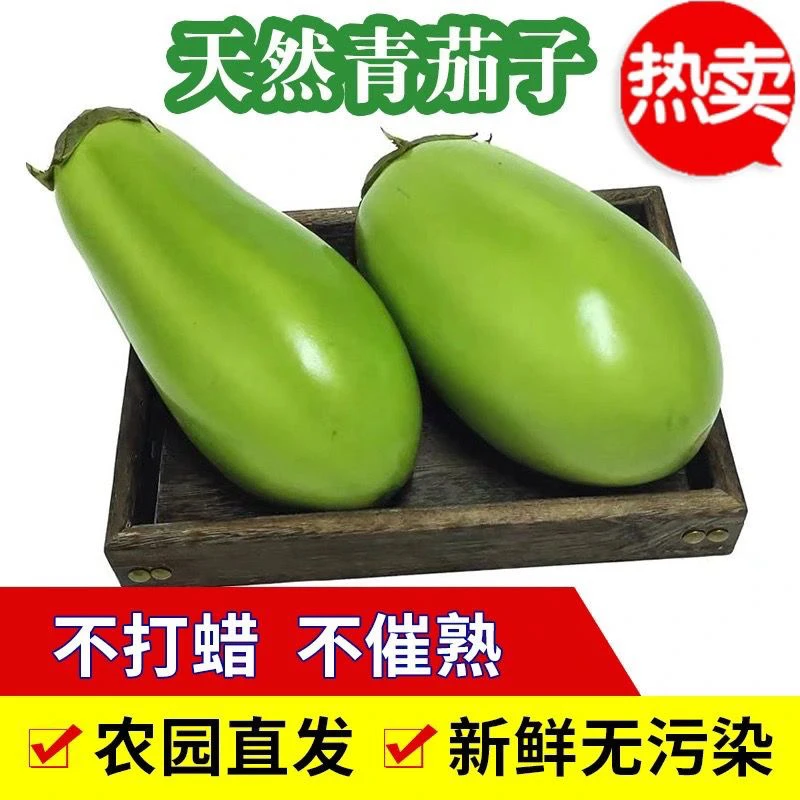 365河南新鲜青茄子农家种植绿皮茄子清甜可口时令蔬菜