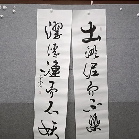 书法四尺整张草书对联书法作品